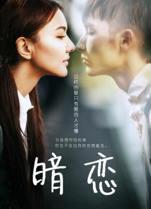 办假的加拿大卑诗省驾照